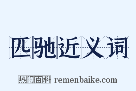 匹驰近义词是什么意思的图片